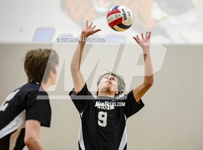 Thumbnail 2 in Regis Groff vs. Discovery Canyon photogallery.