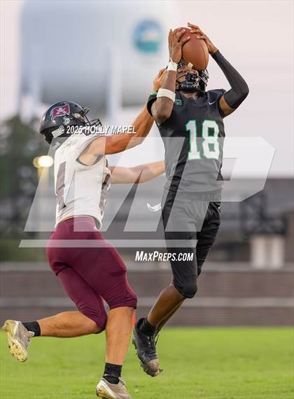 Thumbnail 1 in Choctawhatchee @ Navarre photogallery.