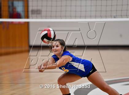 Thumbnail 1 in Canterbury @ Carrollwood Day photogallery.