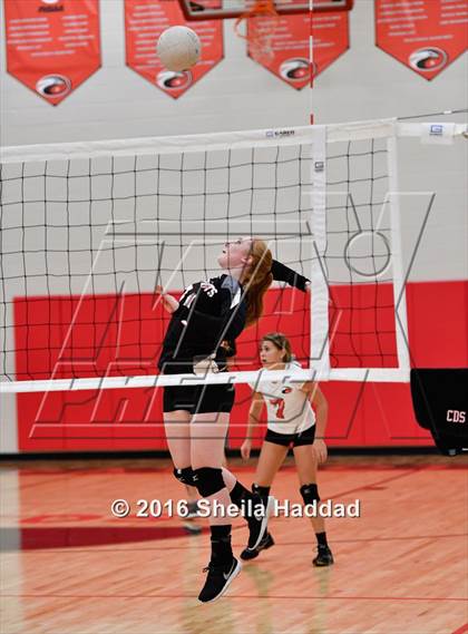 Thumbnail 2 in Canterbury @ Carrollwood Day photogallery.