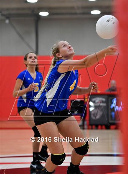 Thumbnail 3 in Canterbury @ Carrollwood Day photogallery.