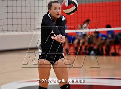 Thumbnail 2 in Canterbury @ Carrollwood Day photogallery.