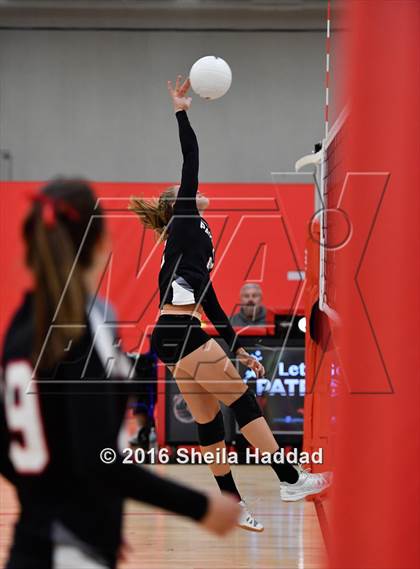 Thumbnail 2 in Canterbury @ Carrollwood Day photogallery.