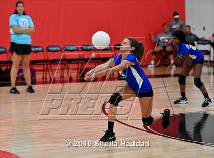 Thumbnail 2 in Canterbury @ Carrollwood Day photogallery.