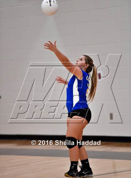 Thumbnail 1 in Canterbury @ Carrollwood Day photogallery.