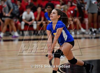 Thumbnail 3 in Canterbury @ Carrollwood Day photogallery.