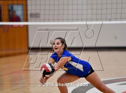 Thumbnail 3 in Canterbury @ Carrollwood Day photogallery.