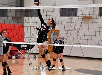 Thumbnail 1 in Canterbury @ Carrollwood Day photogallery.