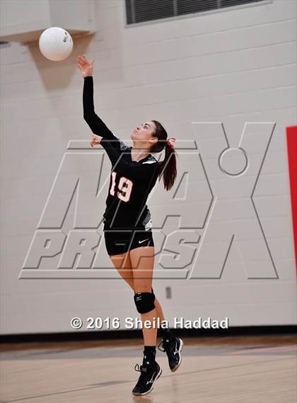 Thumbnail 3 in Canterbury @ Carrollwood Day photogallery.