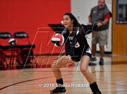 Thumbnail 3 in Canterbury @ Carrollwood Day photogallery.