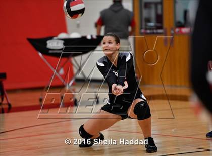 Thumbnail 2 in Canterbury @ Carrollwood Day photogallery.