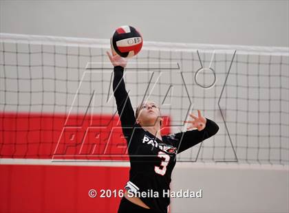 Thumbnail 3 in Canterbury @ Carrollwood Day photogallery.