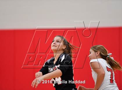Thumbnail 2 in Canterbury @ Carrollwood Day photogallery.