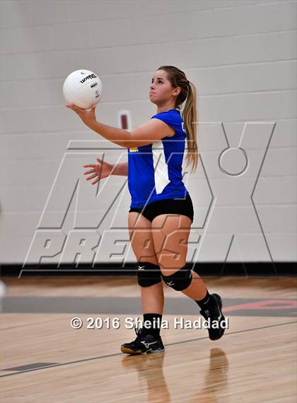 Thumbnail 3 in Canterbury @ Carrollwood Day photogallery.
