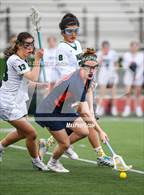 Photo from the gallery "Churchill @ Novi"