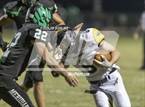 Photo from the gallery "Tuscola @ Meridian"