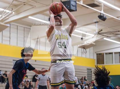 Thumbnail 2 in Kalaheo @ Leilehua photogallery.