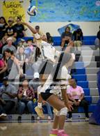 Photo from the gallery "Pasadena @ Muir"