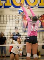 Photo from the gallery "Pasadena @ Muir"