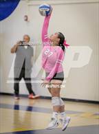 Photo from the gallery "Pasadena @ Muir"