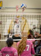 Photo from the gallery "Pasadena @ Muir"