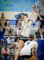 Photo from the gallery "Pasadena @ Muir"