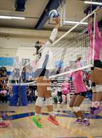 Photo from the gallery "Pasadena @ Muir"