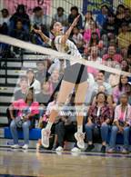 Photo from the gallery "Pasadena @ Muir"