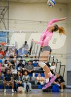 Photo from the gallery "Pasadena @ Muir"