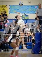 Photo from the gallery "Pasadena @ Muir"