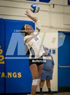 Photo from the gallery "Pasadena @ Muir"