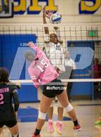 Photo from the gallery "Pasadena @ Muir"