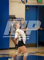 Photo from the gallery "Pasadena @ Muir"