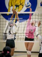 Photo from the gallery "Pasadena @ Muir"