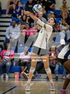 Photo from the gallery "Pasadena @ Muir"