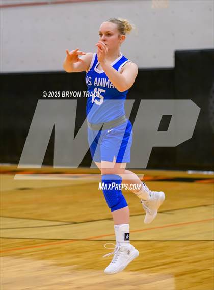 Thumbnail 1 in Las Animas @ Syracuse photogallery.