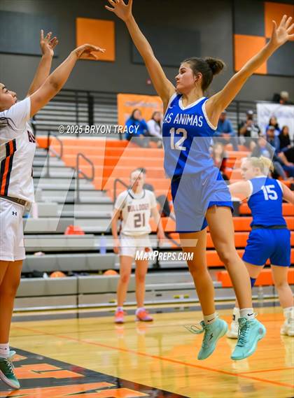 Thumbnail 2 in Las Animas @ Syracuse photogallery.