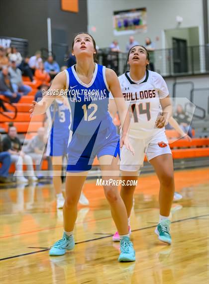 Thumbnail 3 in Las Animas @ Syracuse photogallery.