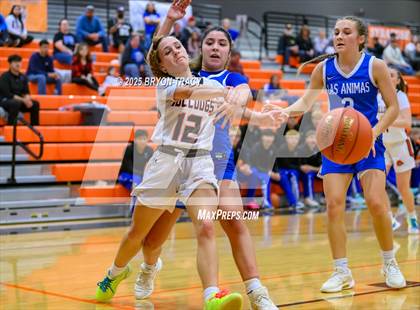 Thumbnail 2 in Las Animas @ Syracuse photogallery.