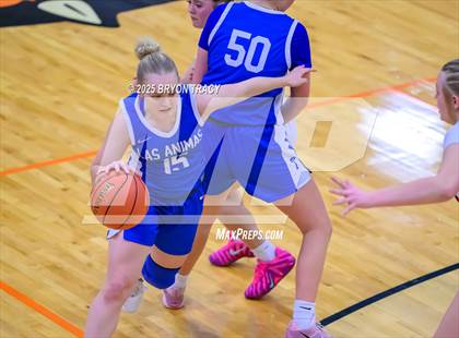 Thumbnail 3 in Las Animas @ Syracuse photogallery.