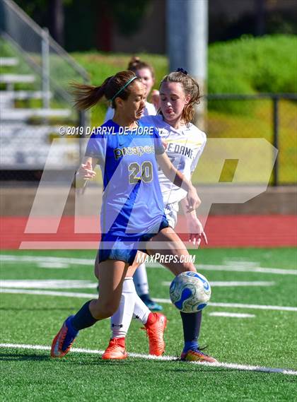 Thumbnail 1 in Norte Dame vs Prospect (CIF CCS D2 Quaterfinal) photogallery.