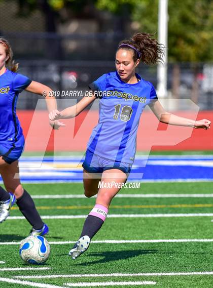 Thumbnail 1 in Norte Dame vs Prospect (CIF CCS D2 Quaterfinal) photogallery.