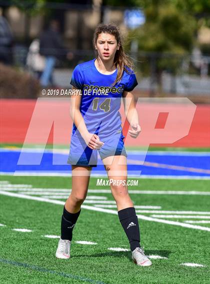Thumbnail 1 in Norte Dame vs Prospect (CIF CCS D2 Quaterfinal) photogallery.
