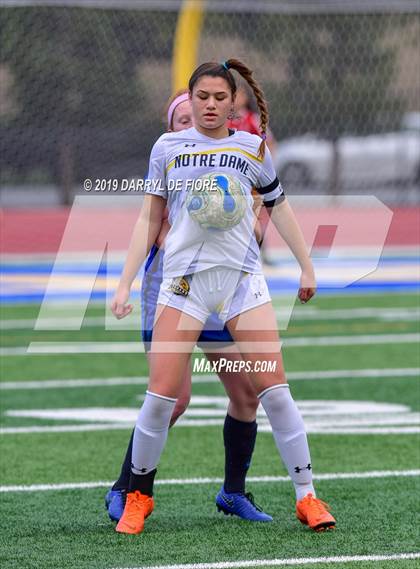 Thumbnail 3 in Norte Dame vs Prospect (CIF CCS D2 Quaterfinal) photogallery.