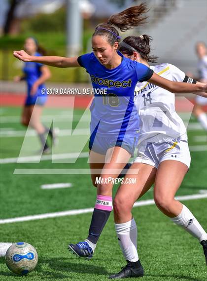 Thumbnail 1 in Norte Dame vs Prospect (CIF CCS D2 Quaterfinal) photogallery.