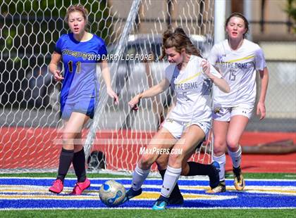 Thumbnail 2 in Norte Dame vs Prospect (CIF CCS D2 Quaterfinal) photogallery.