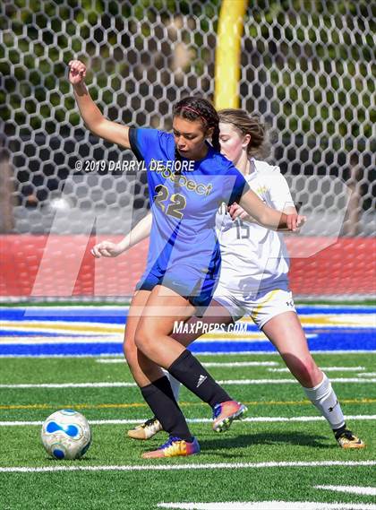 Thumbnail 3 in Norte Dame vs Prospect (CIF CCS D2 Quaterfinal) photogallery.