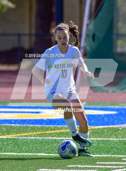 Thumbnail 3 in Norte Dame vs Prospect (CIF CCS D2 Quaterfinal) photogallery.