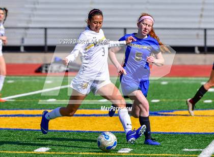 Thumbnail 2 in Norte Dame vs Prospect (CIF CCS D2 Quaterfinal) photogallery.