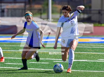 Thumbnail 1 in Norte Dame vs Prospect (CIF CCS D2 Quaterfinal) photogallery.